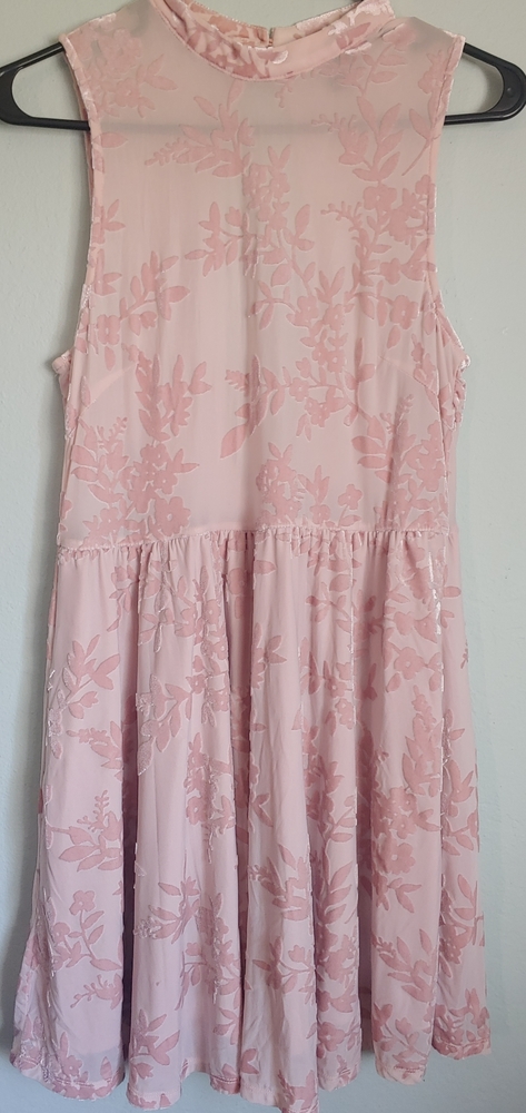 Forever21 Velvet Burnout Dress